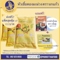 ราคา 3 ถุง หัวเชื้อดองมะม่วง ตรา นกแก้ว แถม ผงหมักเนื้อ ตราเนื้อคู่ ผงดอง ผงดองผลไม้ เชื้อดอง มะม่วง (20382478420)
