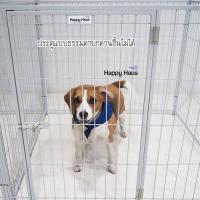 ราคา Happy Haus คอกสุนัข กรงสุนัข ถอดประกอบได้ M เดี่ยวสูง 80 ซม 1X1เมตร 1 ประตู สีเทา (525158535)