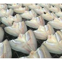 ราคา ปลานิลแดดเดียว 500 กรัม (21300863184)