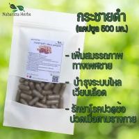 ราคา กระชายดำ ขนาด 50 100 แคป 500 มก สมุนไพรแท้ 100 ไม่ผสม คุณภาพดี ออร์แกนิค สินค้าจากวิสาหกิจชุมชน เชียงราย (20045998625)