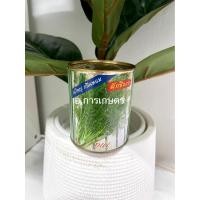 ราคา ผักชีลาว ตราปลาทอง เมล็ดผักชีลาว ขนาด 60กรัม เมล็ดผัก เมล็ดพันธุ์ เมล็ดพันธุ์ผัก เมล็ดพันธุ์พืช เมล็ดผักชีลาว (13436974900)