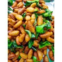 ราคา ด้วงสาคูทอดสมุนไพร ด้วงมะพร้าวทอดกรอบ ทอดตามออเดอร์ น้ำหนักก่อนทอด500กรัม (9847954548)