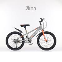 ราคา NEW จักรยานเด็กโต 20 นิ้ว รุ่น GT Xtreme B318 จักรยานเด็กโต มีกระดิ่ง มีเบรคหน้าหลัง ปรับระดับได้ เบาะล้อสกรีนลาย (20611216658)
