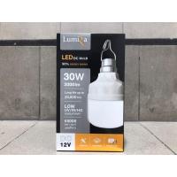 ราคา LUMIRA หลอดไฟ ลูมิร่า LED แสงสีขาว 30 วัตต์ ไม่มีสวิตซ์ DC หลอดไฟสายปากคีบแบตเตอรี่ 12V 30W หลอดไฟ แอลอีดี แสงขาว light bulb LED 30 วัตต์ หลอดไฟคีบแบตเตอรี่ (20196070200)