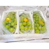 ราคา องุ่น องุ่นไซมัสคัส ตระกร้าขาว 3 ช่อ กล่อง ส่งฟรี ขนส่งควบคุมอุณหภูมิ แช่เย็น (20683683277)