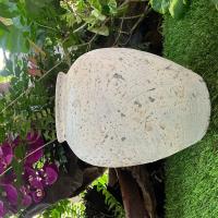 ราคา แจกันดินเผาทรงไหอ้วนเรียบสีขาวเก่่า ขนาด 25 x 30 cm (19682279058)