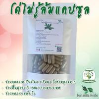 ราคา โด่ไม่รู้ล้ม ขนาด 50 100 แคป 1เม็ด 500 มก สมุนไพรแท้ 100 ไม่ผสม คุณภาพดี ออร์แกนิค สินค้าจากวิสาหกิจชุมชน เชียงราย (20044069948)