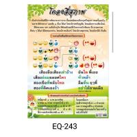ราคา โครงสี่สุภาพ EQ 243 โปสเตอร์สื่อการสอน หุ้มพลาสติก ขนาด 50 70 cm (18994399854)