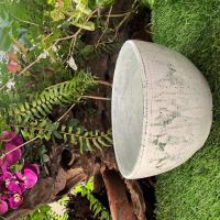 ราคา กระถางดินเผาทรงถ้วย ขนาด 26 x 15 cm (20140538672)