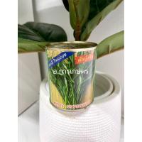 ราคา ผักบุ้งจีน ตราปลาทอง ขนาด 80กรัม เมล็ดผัก เมล็ดพันธุ์ เมล็ดพันธุ์ผัก เมล็ดพันธุ์พืช ผักกระป๋อง ผักบุ้ง เมล็ดผักบุ้ง เมล็ดผักบุ้งจีน (13489236585)