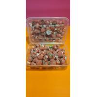 ราคา แหนมตุ้มจิ๋ว 60 ตุ้ม แหนมหมู แหนมดอนเมือง ตุ้มเล็ก (20859207095)