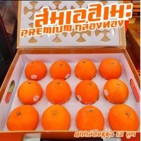 ราคา ส้มเอฮิเมะ เนื้อเยลลี่ หอมหวาน กล่องสีทอง แบบ 912 ลูก (21381568240)