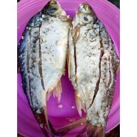 ราคา ส้มปลาตะเพียน ส้มปลาตะเพียนแบบตัว ทำสดทำใหม่ ไม่เปรี้ยวไม่คาว น้ำหนัก 500 กรัม (18381050184)