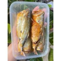 ราคา ปลาทูต้มหวานสูตรโบราณ ตัวใหญ่เต็มกล่อง ก้างนิ่มทานได้ทั้งตัว สด ใหม่ สะอาด (21148884294)