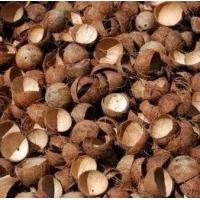 ราคา กะลามะพร้าว แก่ผ่าซีก ขัดผิวทำความสะอาด (21305887418)