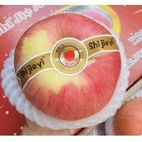 ราคา แอปเปิ้ลยักษ์ พันธุ์ญี่ปุ่น Shijieyi Apple キン 1ลูก CHN ลดพิเศษ Giant Apple แอปเปิ้ลมูทู แอปเปิ้ลบูทู แอปเปิ้ลลูกใหญ่ แอปเปิ้ลฟูจิยักษ์ (11351584021)