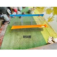 ราคา กรงตับไก่ไข่ใส่ไก่ได้9ตัว พร้อมอุปกรณ์ กรงไก่ กรงไก่ไข่ กรงตับ กงตับ chicken cage hen cage (21397797820)