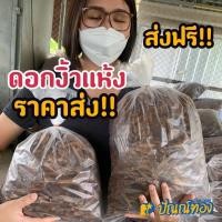 ราคา ดอกงิ้วแห้งใหม่ๆ นำไปทำอาหารได้เลย ถุงใหญ่ ทำอาหารได้หลายมื้อ ทำขนมจีนน้ำเงี้ยว ใส่แกงอ่อม และอื่นๆ (21281058289)