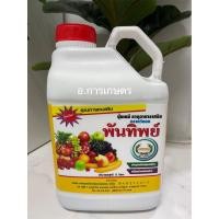ราคา ยกลัง ขนาด 5ลิตร 4 แกลลอน ค่าส่งถูกลง ปุ๋ยเคมี ตราหวีทอง ปุ๋ยนำ้ตราหวีทอง พันทิพย์ ฮอร์โมน ฮอร์โมนตราหวีทอง ฮอร์โมน ตราหวีทอง (17446270878)