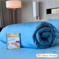 ราคา ผ้าห่มกันไรฝุ่น 60x80 นิ้ว Perfecta Premium (18001864200)