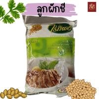 ราคา ลูกผักชี ตราไร่ทิพย์ ขนาด 500g (21359520682)
