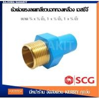 ราคา ข้อต่อตรงลดเกลียวนอกทองเหลือง 3 4 x 1 2 6 ลด 4 หุน 1 x 1 2 1 ลด 4 หุน 1 x 3 4 1 ลด 6 หุน SCG PVC Reducing Brass Valve Socket (12254833910)