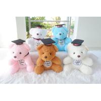 ราคา ตุ๊กตาหมีบัญฑิต ใส่ชุดปริญญา พร้อมแพคถุงหูหิ้ว มีทั้งขนาด 8 นิ้ว และ 10 นิ้ว (16763582966)