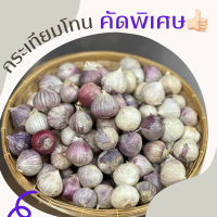 ราคา สดใหม่ จากสวน กระเทียมโทน คัดพิเศษ ลูกใหญ่ ราคาถูก ส่ง (21405572184)
