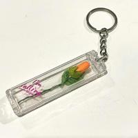 ราคา พวงกุญแจดอกกุหลาบหลอดแก้ว (20918536167)