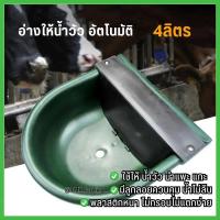 ราคา อ่างให้น้ำวัว อัตโนมัติ มีลูกลอยควบคุม น้ำไม่ล้น mnm15 (20672691790)