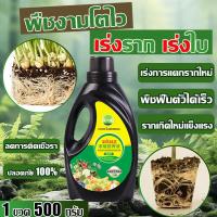 ราคา 1วันหยั่งรากรวดเร็ว ยาเร่งราก 500ml น้ำยาเร่งราก b1 เปิดใช้งานดิน ปุ๋ยเร่งราก รากระเบิด ปุ๋ยเร่งราก สารเร่งรากพืช ผงเร่งรากพืช เร่งราก ผงเร่งราก (21392791588)