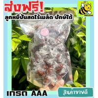 ราคา ส่งฟรี 500 กรัม ลูกหยีปั้นสดไร้เมล็ด เกรด A พร้อมทาน อุดมด้วย วิตามินซี จากธรรมชาติ เเบบสูตรโบราณดั้งเดิม ที่จะช่วยเพิ่มภูมิคุ้มกันให้แก่ร่างกาย หยีปั้นสดไร้เมล็ด หยีปั้นสด ลูกหยี ปั้นสด ไร้เมล็ด ลูกห