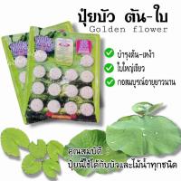 ราคา ปุ๋ยบัว ปุ๋ยบอนสี ปุ๋ยไม้น้ำ Golden Flowers 14เม็ด มี2สูตร สูตรเร่งต้น และเร่งดอก (11464259129)