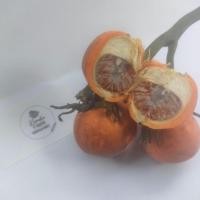 ราคา betel nut areca nut หมากสด หมากเคี้ยว หมากอ่อน หมากชุมพร หมากดิบ หมากฝาด ขายเป็นชุด 10 ลูก 10pc (21255262783)