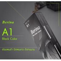 ราคา เบอริน่า Berina ครีมเปลี่ยนสีผม ครีมย้อมผม สีผม Berina hair color cream (10582422674)