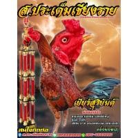 ราคา ไข่เชื้อไก่ชนพม่าม้าล่อรำวงเมืองเหนือ เยียร์สุรินยันต์ (21410982908)