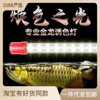 ราคา โคมไฟมังกร WangyulanGolden RGB โคมไฟปลามังกรตู้ปลาพิเศษหลอดไฟ LED กันน้ำมังกรทองสามสีหลักโคมไฟ Koi (20735411035)