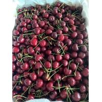 ราคา เชอรี่ บรรจุ500กรัม สดใหม่ทุกวัน หวานกรอบอร่อยสุด (19717993863)