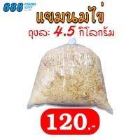 ราคา แยมนมไข่ สำหรับตกปลา ถุงใหญ่ 4 5 กิโลกรัม เหยื่อตกปลา ขนมปังคุณภาพดี (19591257372)