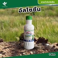 ราคา ยาฆ่าหญ้า ยาคุมหญ้า ฆ่า คุมหญ้า ในไร่ข้าวโพด สารกำจัดวัชพืช ฉีดทับข้าวโพด อัลโซซีน1 หมาแดง ลิตร (20994352593)