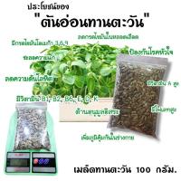 ราคา ถาดเพราะไร้ดิน เมล็ด ต้นอ่อน ถาดเพาะเมล็ด ถาดไดโซะ ถาดปลูก ปลูกข้าวสาลีแมว ถาดเพาะต้นอ่อนไร้ดิน Microgreen กระดาษปลูกไร้ดิน (15228580335)