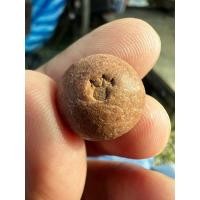 ราคา เม็ดกระสุนคต ไหว้ครู หลวงปู่อิ่ม วัดทุ่งนาใหม่ (20856420840)