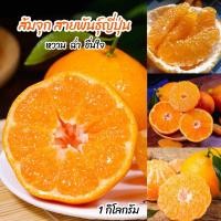 ราคา ส้มจุกเดโกปอง สายพันธุ์ญี่ปุ่น 1kg เกล็ดส้มแน่น หวานฉ่ำ อร่อย (21404208302)