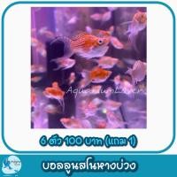 ราคา ปั้มลมสำหรับคนเลี้ยงปลา เพิ่มความสวยงามให้ตู้ปลา (21398741407)