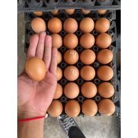 ราคา ไข่ไก่เบอร์ 3 มีแบ่งจำหน่าย 10 ฟอง 1แผง 30ฟอง (21351830319)