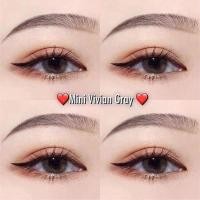 ราคา คอนแทคเลนส์ ขนาดมินิ Brown Gray Mini vivian kittykawaii (17873767605)