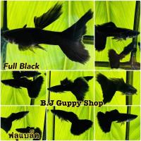 ราคา ฟลูแบล็ค พร้อม อาหารปลาหางนกยูง (21407760927)