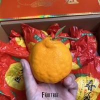 ราคา ส้มจุกจีน ส้มจุกไต้หวัน 1ลูก CHN ลดพิเศษ Neck Orange ส้มมงคล หวานอมเปรี้ยว ส้มไหว้ตรุษจีน จากจีน อร่อยไม่แพ้ ส้มจุกเกาหลี ส้มจุกญี่ปุ่น ส้มเดโกปอง (21414463725)
