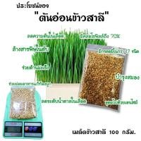 ราคา ถาดเพราะไร้ดิน เมล็ด ต้นอ่อน ถาดเพาะเมล็ด ถาดไดโซะ ถาดปลูก ปลูกข้าวสาลีแมว ถาดเพาะต้นอ่อนไร้ดิน Microgreen กระดาษปลูกไร้ดิน (14892041115)
