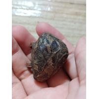 ราคา เครื่องรางเบี้ยแก้หลวงปู่บุยวัดกลางบางแก้วอุดปรอทเก่าๆๆๆ (16896284342)